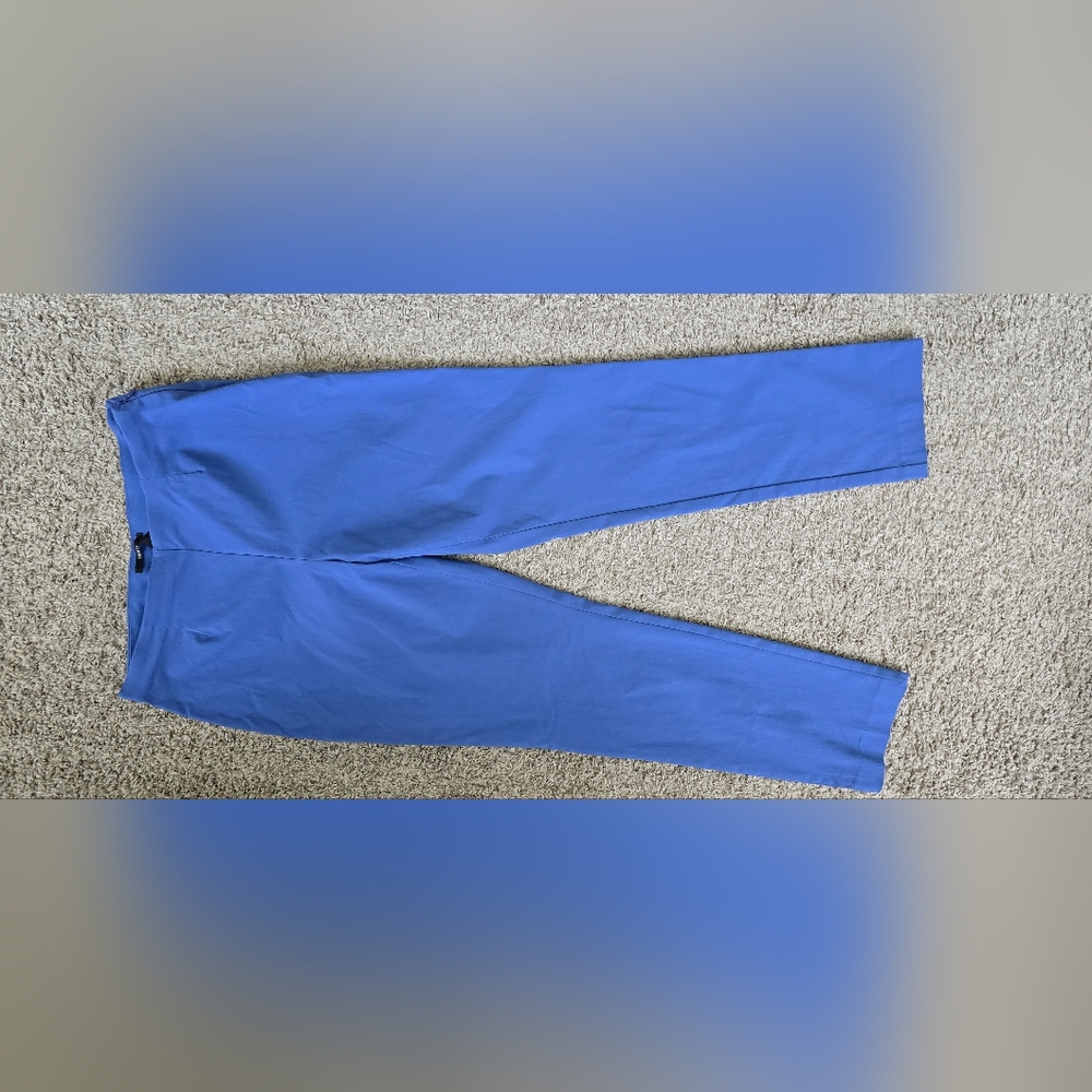 STYLE & COMPANY Slim Fit Ankle Pants sz 10